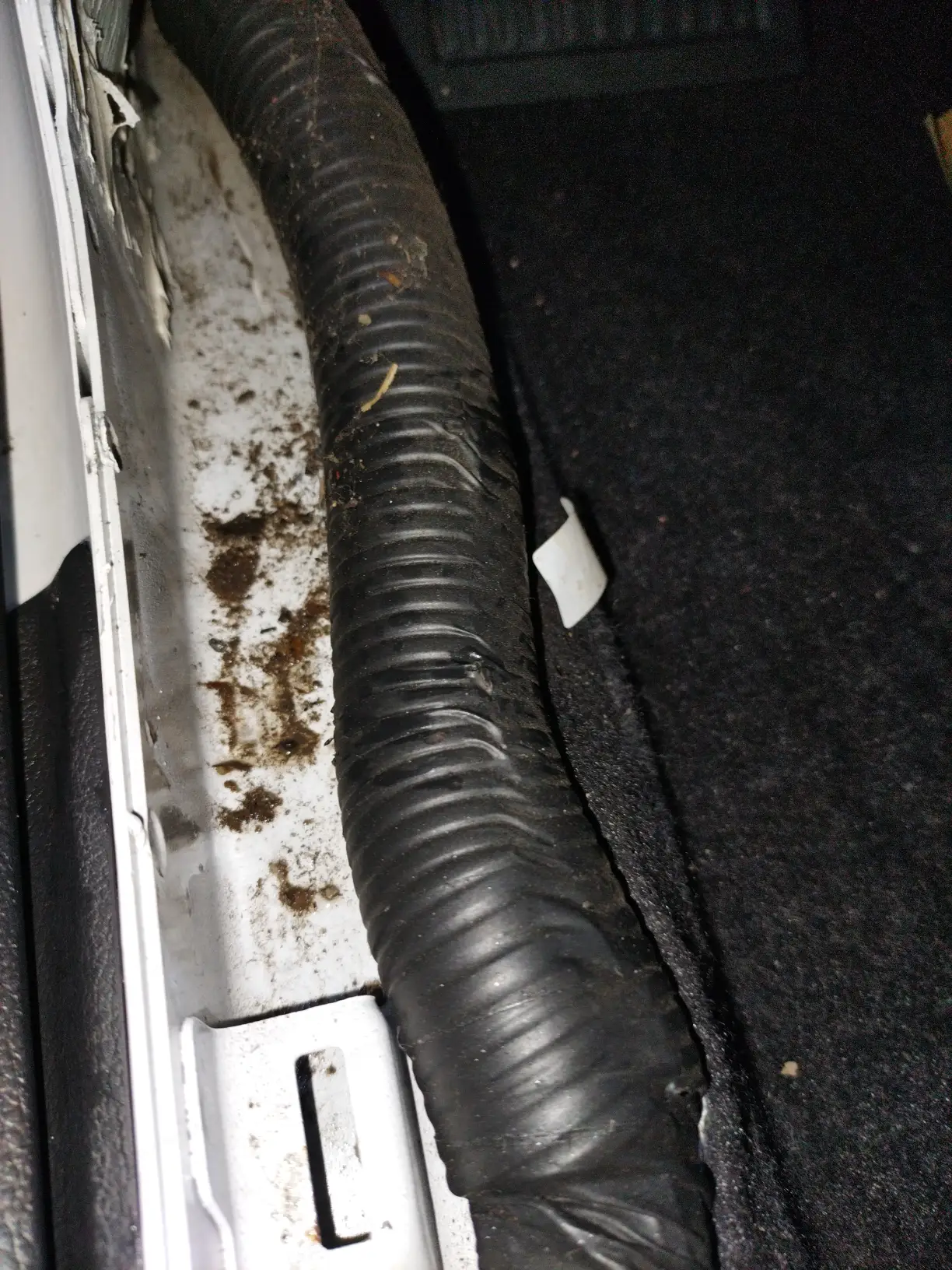 Проводка в салоне