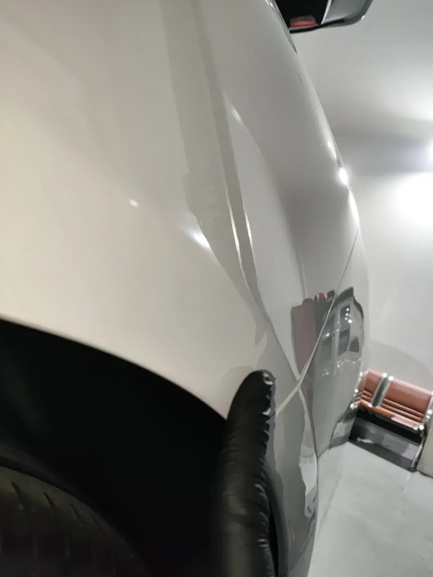 Левое заднее крыло