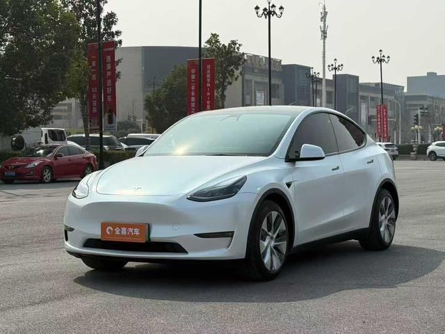 Tesla Model Y 2021 Standard Range RWD – фото 1