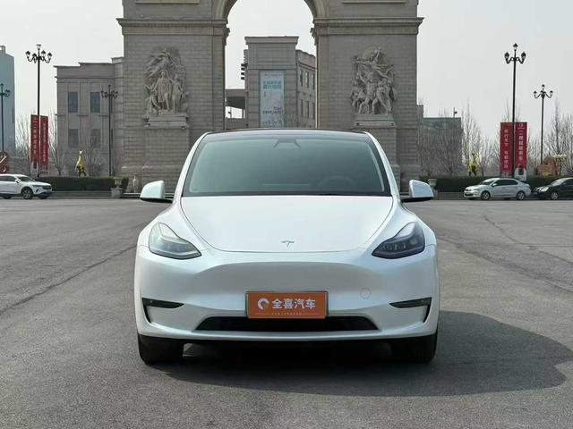 Tesla Model Y 2021 Standard Range RWD – фото 2