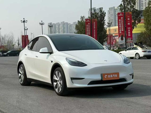 Tesla Model Y 2021 Standard Range RWD – фото 3