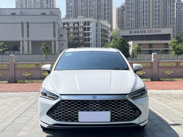 BYD Qin PLUS DM 2021 DM-i 55KM Premium – фото 2