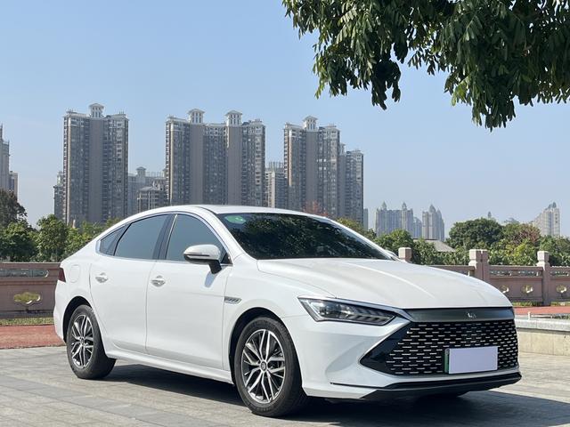 BYD Qin PLUS DM 2021 DM-i 55KM Premium – фото 3