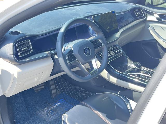 BYD Qin PLUS DM 2021 DM-i 55KM Premium – фото 11
