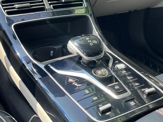 BYD Qin PLUS DM 2021 DM-i 55KM Premium – фото 12