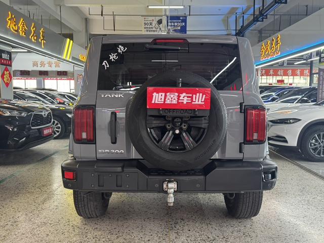 Great Wall Tank 300 2021 Off-Road 2.0T Challenger – фото 8
