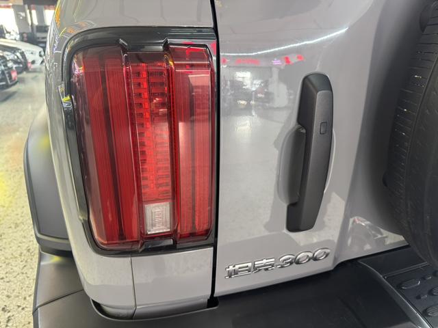 Great Wall Tank 300 2021 Off-Road 2.0T Challenger – фото 20