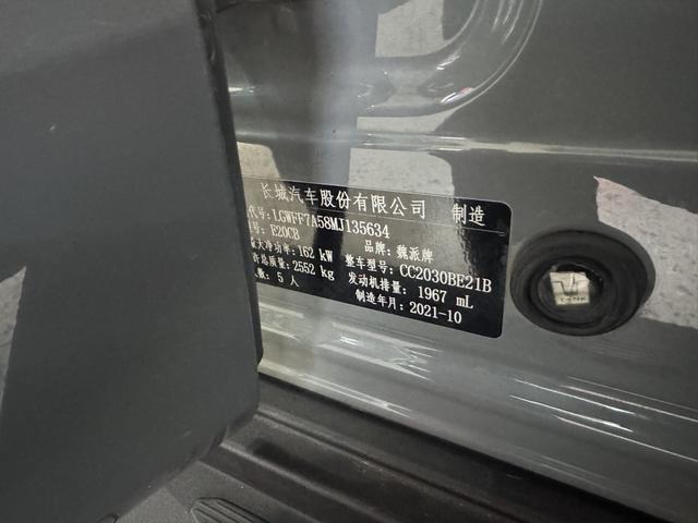 Great Wall Tank 300 2021 Off-Road 2.0T Challenger – фото 21