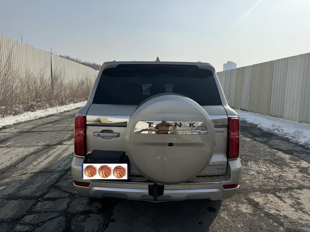 Tank 500 2023 Sport Edition Zaojing 5-seat – фото 10