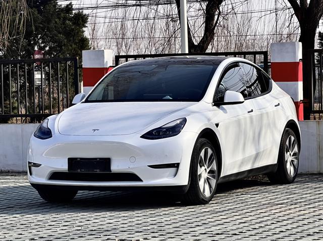 Tesla Model Y 2021 Standard Range RWD – фото 1