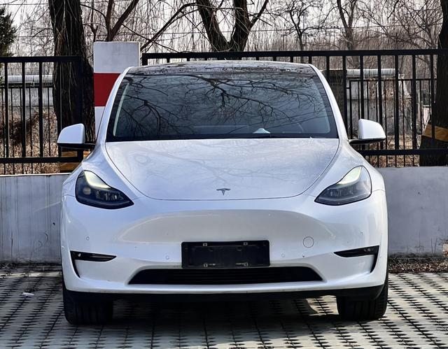 Tesla Model Y 2021 Standard Range RWD – фото 2