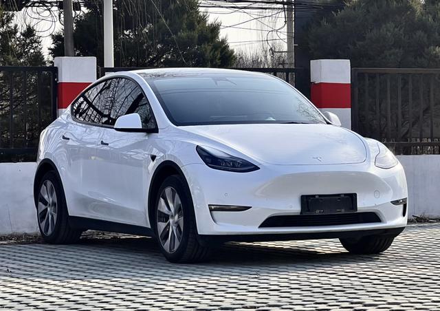 Tesla Model Y 2021 Standard Range RWD – фото 3