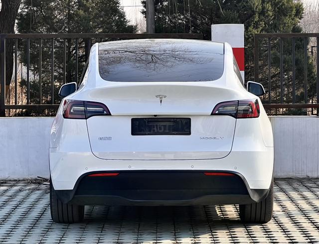 Tesla Model Y 2021 Standard Range RWD – фото 4