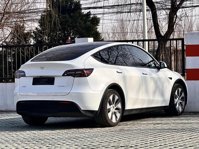 Tesla Model Y 2021 Standard Range RWD – фото 5