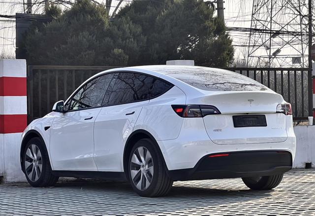Tesla Model Y 2021 Standard Range RWD – фото 6