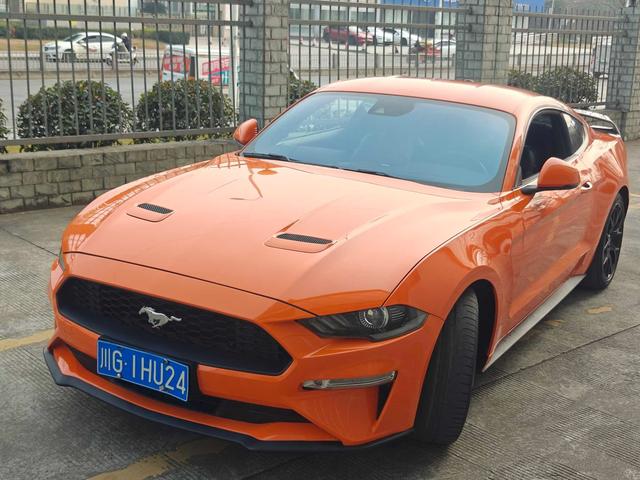 Mustang Модель 2019 года 2.3T EcoBoost – фото 1