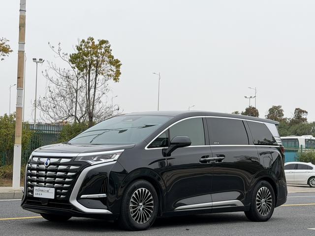 Denza D9 DM 2024 970 Luxury