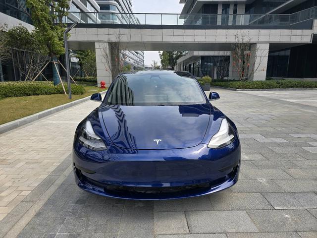 Tesla Model 3 2020 Standard Range RWD Upgraded – фото 2