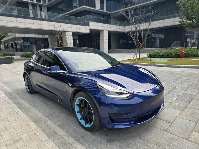 Tesla Model 3 2020 Standard Range RWD Upgraded – фото 3