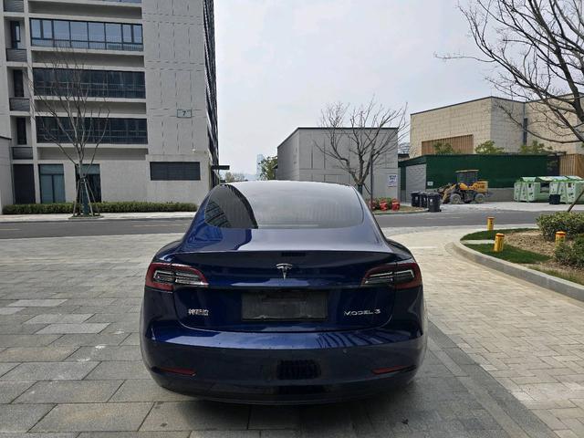 Tesla Model 3 2020 Standard Range RWD Upgraded – фото 6