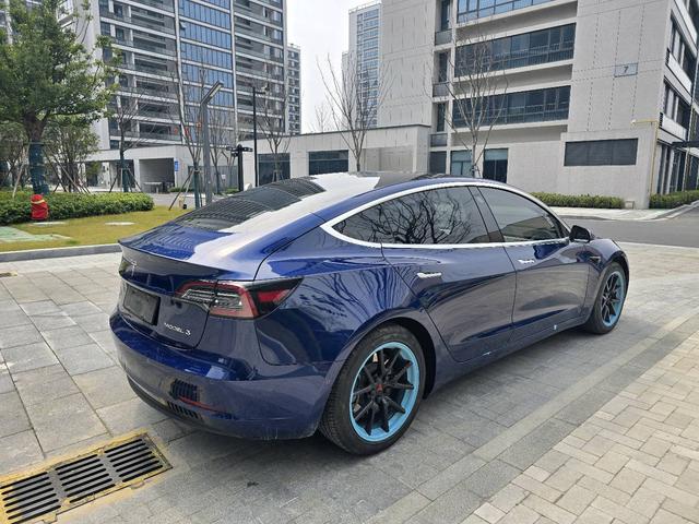 Tesla Model 3 2020 Standard Range RWD Upgraded – фото 7