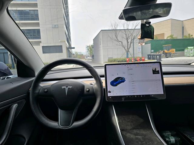 Tesla Model 3 2020 Standard Range RWD Upgraded – фото 10