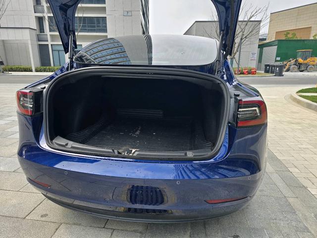 Tesla Model 3 2020 Standard Range RWD Upgraded – фото 13