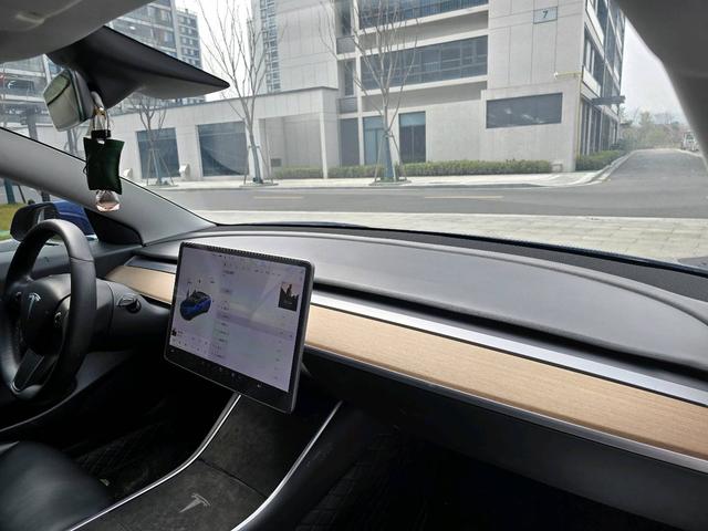 Tesla Model 3 2020 Standard Range RWD Upgraded – фото 15