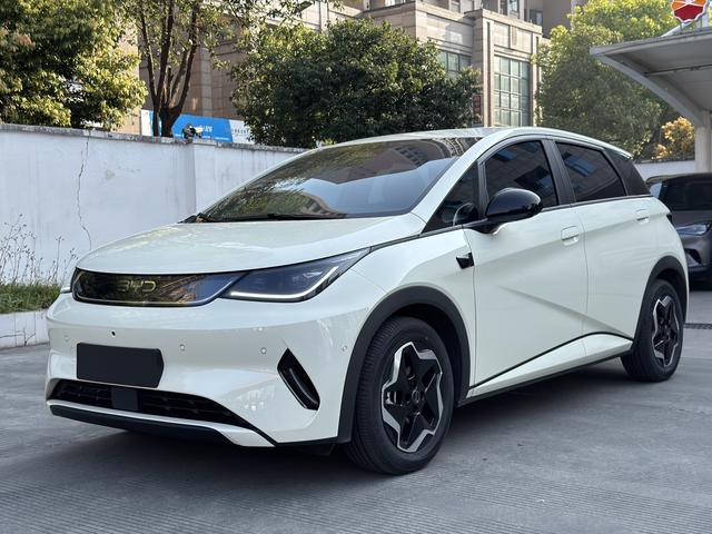 BYD Qin L DM 2024 DM-i 120KM Beyond 2025 Model S mart Driving Edition 420KM Free Edition – фото 1