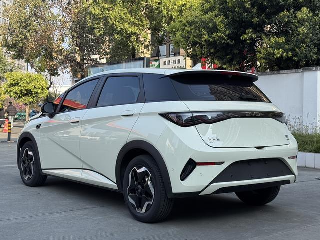 BYD Qin L DM 2024 DM-i 120KM Beyond 2025 Model S mart Driving Edition 420KM Free Edition – фото 4