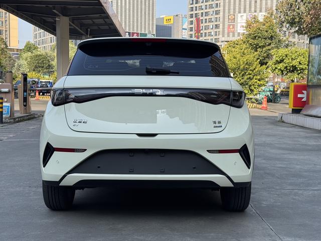 BYD Qin L DM 2024 DM-i 120KM Beyond 2025 Model S mart Driving Edition 420KM Free Edition – фото 5