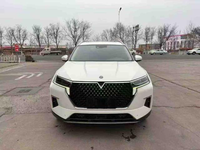 Qichen Star Модель 2020 года 260T 48V Mild Hybrid Boost Star Enjoy Edition – фото 2