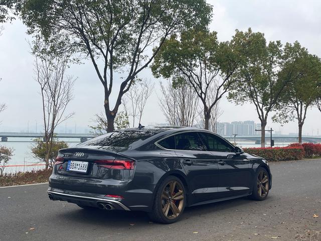 AUDI S5 2017 модификация S5 3.0T Sportback – фото 4