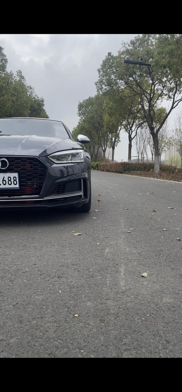 AUDI S5 2017 модификация S5 3.0T Sportback – фото 13