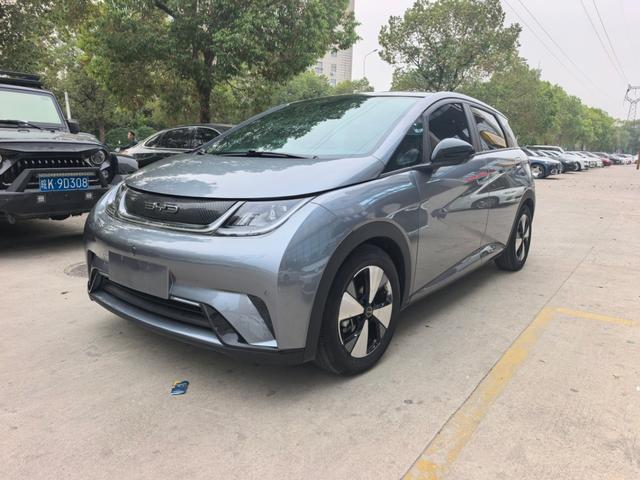 BYD Dolphin 2023 Fashion – фото 1