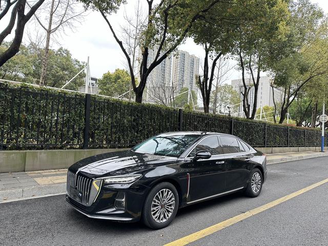 Hongqi H5 2023 2.0T Automatic Connected Qiling – фото 1