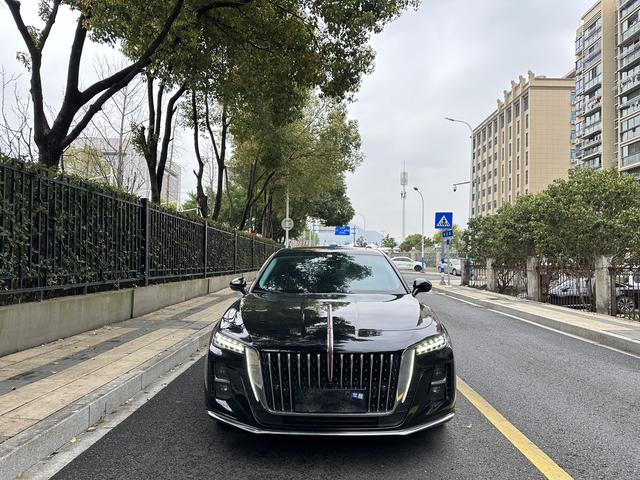 Hongqi H5 2023 2.0T Automatic Connected Qiling – фото 2
