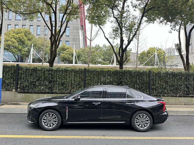 Hongqi H5 2023 2.0T Automatic Connected Qiling – фото 7