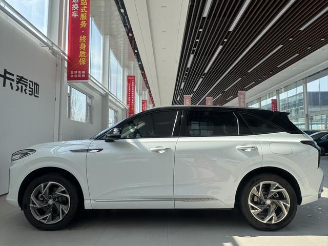 Hongqi HS3 PHEV 2024 115km Jinwei – фото 8