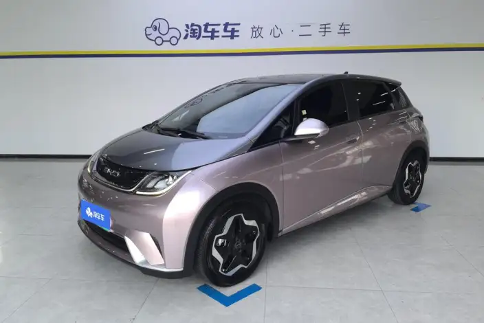 BYD Dolphin 2021 Model Fashion Edition