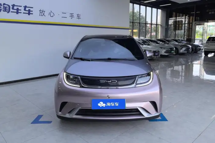BYD Dolphin 2021 Model Fashion Edition