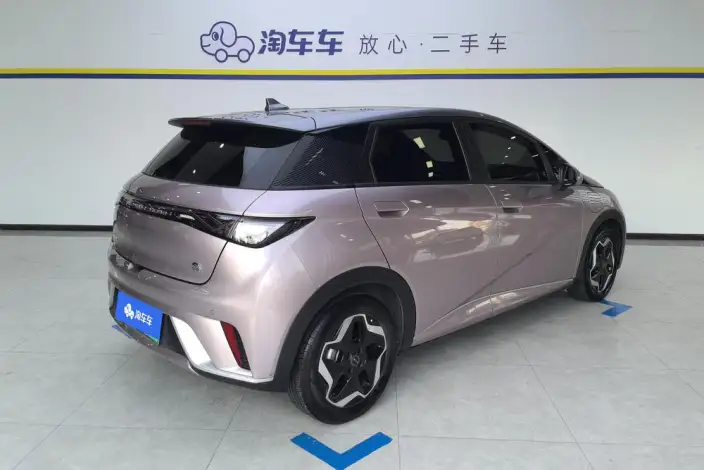 BYD Dolphin 2021 Model Fashion Edition