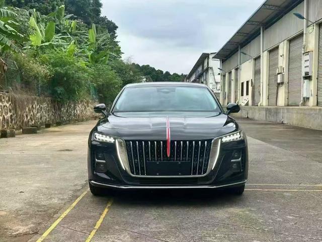 Hongqi H5 2023 2.0T Automatic Smart Connect Flag Smooth – фото 5
