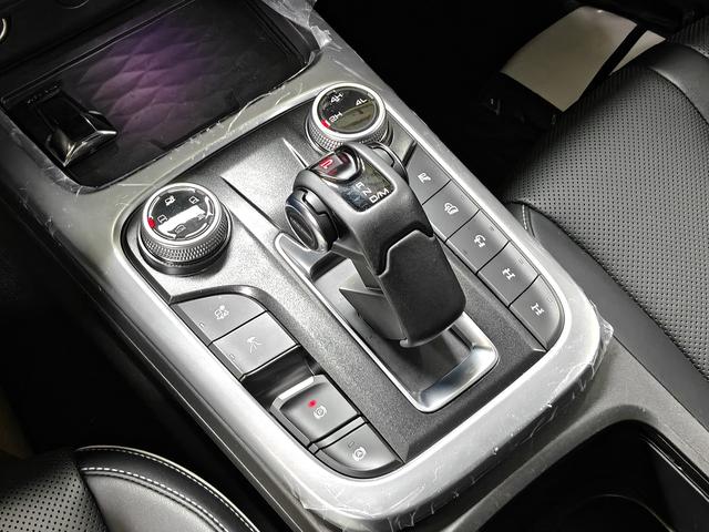 Great Wall Tank 300 2021 Off-Road 2.0T Conqueror – фото 12