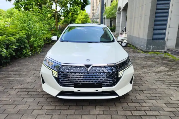 Venucia D60 2021 Model PLUS 1.6L XL CVT Yue Ling Edition