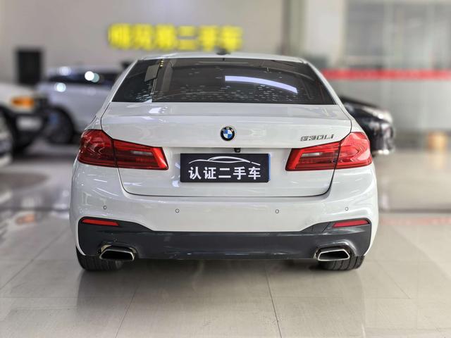 BMW 5 Series 2019 530Li Leader M Sport Package – фото 8