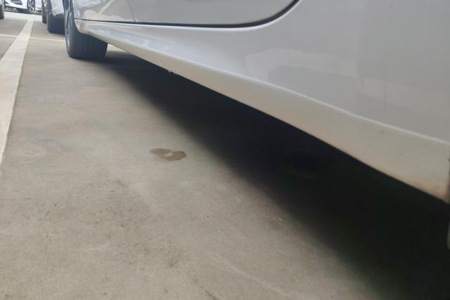 Hyundai Elantra 2021 1.5L CVT GLX Elite – фото 12