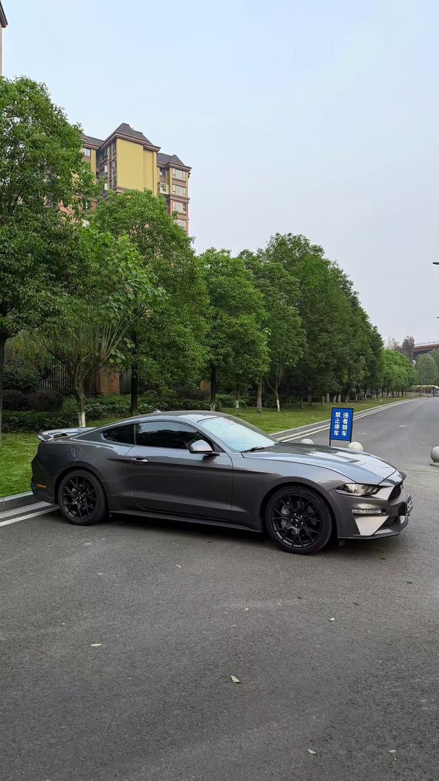 Mustang Модель 2021 года 2.3T EcoBoost – фото 2