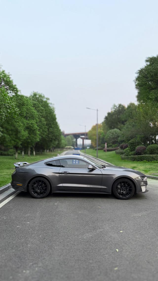 Mustang Модель 2021 года 2.3T EcoBoost – фото 3
