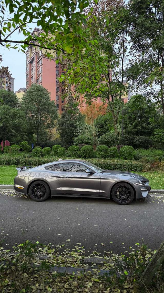 Mustang Модель 2021 года 2.3T EcoBoost – фото 5